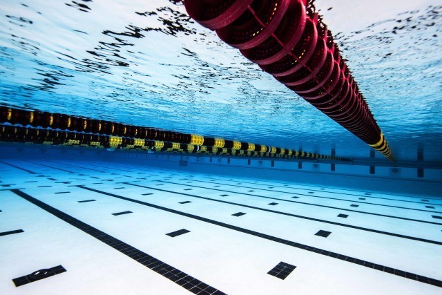 Weekly Wonders of Age Group Swimming: 11/29/2024