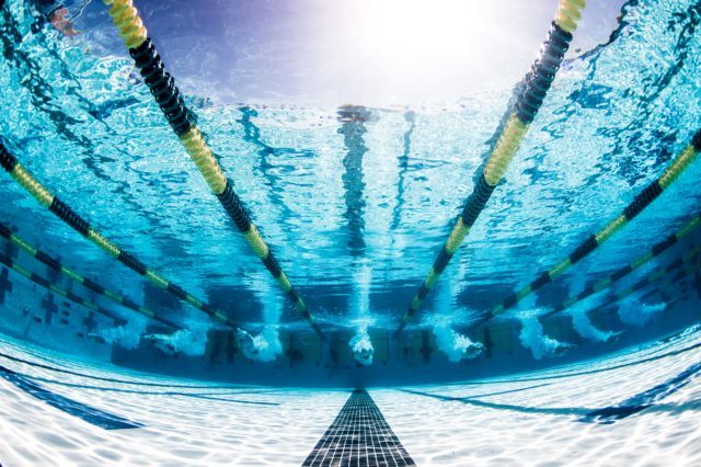 Weekly Wonders of Age Group Swimming – 3/31/2024