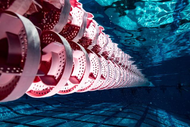 Pohaku Rademacher Breaks Pair of 41-Year-Old Southeastern LSC Records In Atlanta