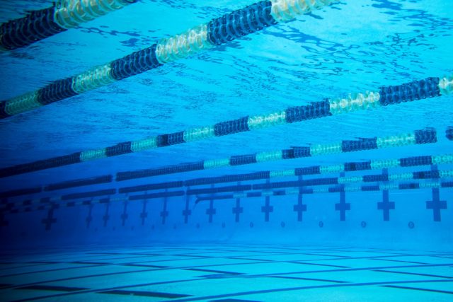 Weekly Wonders of Age Group Swimming: 11/16/2024