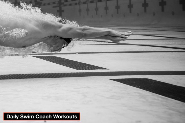 Daily Swim Coach Workout #980