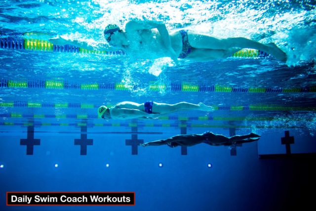 Daily Swim Coach Workout 1019