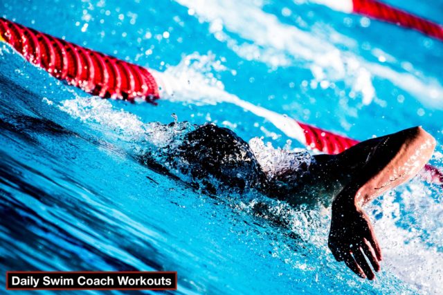 Daily Swim Coach Workout 1037
