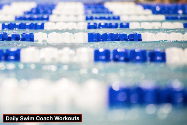 Daily Swim Coach Workout #986