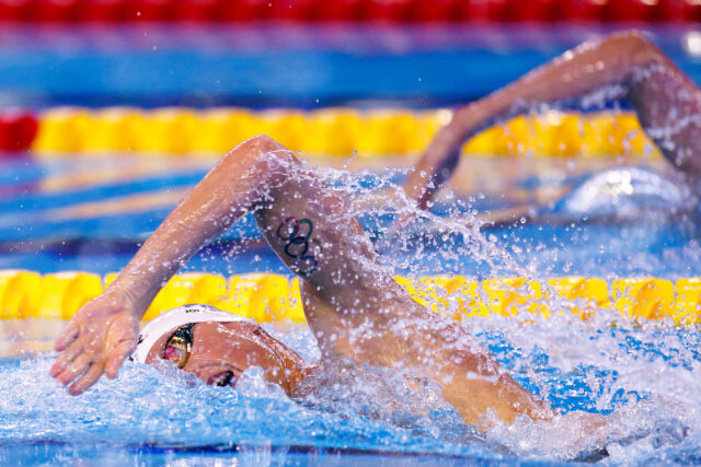 7 Tips for a Stronger Freestyle Catch