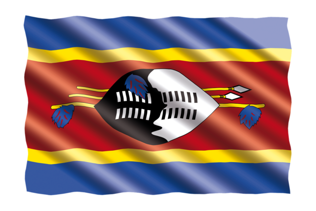 Eswatini Swimming Association Suspends Damien de Sousa For Disciplinary Issues