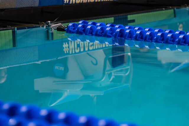 CSCAA Board of Directors Welcomes Taber and Pruden as New Division III Representatives